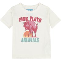Pink Floyd T-Shirt - Amplified Collection - Kids - Animal Balloon - 92 bis 164 - für Mädchen & Jungen - Größe 164 - altweiß  - Lizenziertes von Pink Floyd
