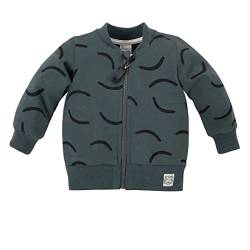 Pinokio Baby - Jungen Pinokio Baby Jacket Le Tigre, 100% Katoen Groen Met Tiger Stripes, Jongens Maat 62-104 Sweatshirt, Grün, 74 EU von Pinokio