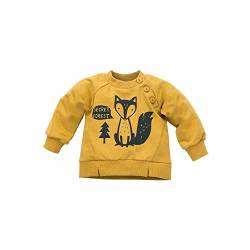 Pinokio Baby - Jungen Pinokio Baby Secret Forest, 100% Cotton Curry, Boys Gr. 68-104 Sweatshirt, Gelb, 74 EU von Pinokio