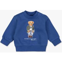 Polo Ralph Lauren  - Sweatshirt | Jungen (2T) von Polo Ralph Lauren