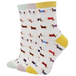 Pomlia® Damen Socken Hunde Motive Dackel Socken Dog Socks (OneSize, D02) von Pomlia