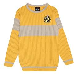 Harry Potter Hufflepuff Quidditch Junge Strickpullover Gelb 152 | Geschenkidee für Jungen, Hogwarts Zauberwelt von Popgear