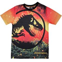 Jurassic World Lava Logo T Shirt, Kinder, 104-170, Orange, Offizielle Handelsware von Popgear