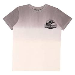 Jurassic World Ombre Dinosaur Observation Committee T Shirt, Kinder, 116-170, Grey, Offizielle Handelsware von Popgear