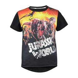 Jurassic World Volcanic Eruption T Shirt, Kinder, Schwarz, Offizielle Handelsware von Popgear