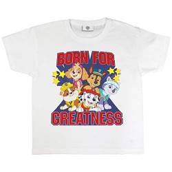 Paw Patrol Born for Greatness T Shirt, Mädchen, 98-134, Weiß, Offizielle Handelsware von Popgear