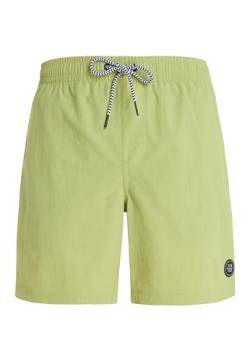 Protest Men Strandshorts Faster Algaegreen M von Protest