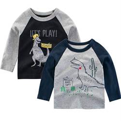 Psafagsa 2er Pack Jungen Langarmshirt Dinosaurier Longsleeve Tshirt Kinder Baumwolle Rundhals Tops Oberteil kinderkleidung schwarz 3-4 Jahre. von Psafagsa