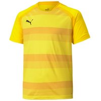 PUMA Fußballtrikot teamVISION Trikot Kids von Puma