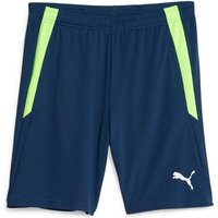 PUMA Herren Shorts teamLIGA Training Shorts 2 von Puma