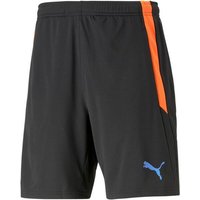 PUMA Herren Shorts teamLIGA Training Shorts 2 von Puma