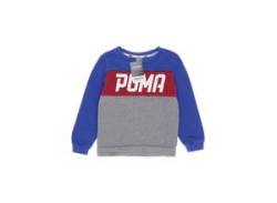 Puma Herren Hoodies & Sweater, grau, Gr. 116 von Puma