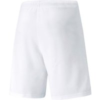 PUMA Sporthose teamRISE Short von Puma