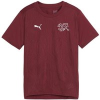 PUMA T-Shirt Schweiz Trainingsshirt Kids EM 2024 default von Puma