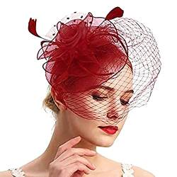 Fascinator Hochzeit Damen Fasching Kostüm Zubehör Wedding Party Top Tea Hat for Women and Girls Feder Netz Schleier Party Hüte 50er Jahre Fascinator Hut Für Frauen von QIFLY