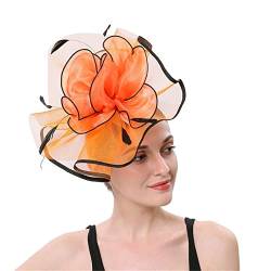 Fascinator Schwarz Women's Fascinator Hat Wedding Cocktail Tea Party for Women and Girls Frauen Feder Fascinator Hut 1920s Veil Fascinator Hat for Women von QIFLY