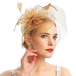 Kopfschmuck Fascinator Women's Elegant Summer Fascinator Bridal Hat Rhinestone Veil Hair Clip Headband Frauen Feder Fascinator Hut Blume Feder Fascinator Hut von QIFLY