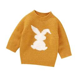 QINQNC Kleinkind Baby Girl Boy Ostern Strickpullover Frühling Kleidung Bunny Print Sweatshirt Langarm Pullover Tops (Yellow, 2-3 Years) von QINQNC