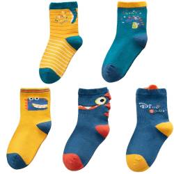 QIYIENDIAN 5 Paar kuschelig warme Crew Socken Cute Cartoon/Solid Farben für 1-10 Jahre Kleinkind Kinder Jungen Mädchen （1-3 Jahre，1B-Große Dinosaurier） von QIYIENDIAN