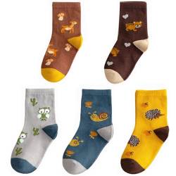 QIYIENDIAN 5 Paar kuschelig warme Crew Socken Cute Cartoon/Solid Farben für 1-10 Jahre Kleinkind Kinder Jungen Mädchen （1-3 Jahre，1C-Tiere） von QIYIENDIAN