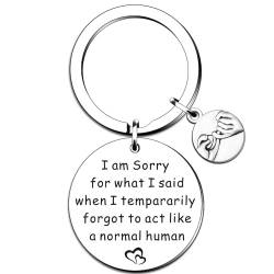 QMVMV Apology Gifts Apology Sorry Gifts I Am Sorry for What I Said When I Tempararily Forgot to Act Like a Normal Human Keyring Gift for Mum Family Sorry Gifts for Him Her Friends, silber, von QMVMV