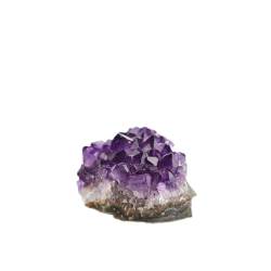 QPLAHANBUA 1PC natürliche Uruguay Amethyst Cluster schöne Handwerk Kristall Stein Home Dekoration (QINTINYIN) ZANLIIYIN (Color : Amethyst Cluster_60-70g) von QPLAHANBUA