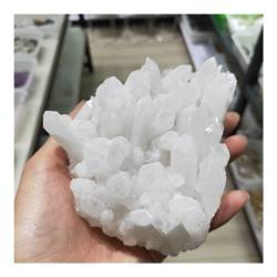 QPLAHANBUA Natürlicher klarer Bergquarz-Kristall-Chrysantheme-Cluster-weißer Kristallpunkt Geode Reiki- Wohnkultur Geschenk 1 Stück Geeignet for Zuhause ZANLIIYIN (Material : 350-400g) von QPLAHANBUA