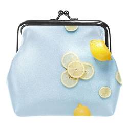 Sommer Gelb Zitrone Muster Blau Schnalle Geldbörse Vintage Beutel Schnalle Clutch Tasche Kiss-Lock Wechselgeldbörse Floral Verschluss Geldbörsen für Frauen Mädchen, Mehrfarbig 19, Einheitsgröße, von QQIAEJIA