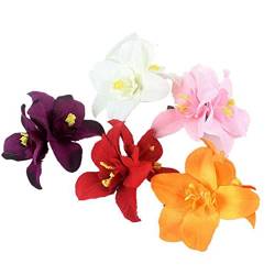 5 Stück Doppel-Orchideen-Blumen-Krokodilklemmen, böhmische hawaiianische Strandblumen, Haarnadeln, Haarspange, tropisches Kostümzubehör für Frauen und Mädchen (zufällige Farbe) von QUUPY