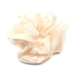 QinGoo Organza Elastisch Haargummi Haarband Pferdeschwanzhalter Damen Haarkschmuck Kopfschmuck Elegant Haar-Accessoire 1stück(Apricot) von QinGoo