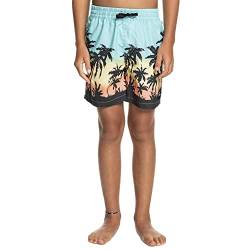 Quiksilver Everyday Paradise 14" - Swim Shorts for Boys 8-16 - Schwimmshorts - Jungen 8-16 - 10 - Blau. von Quiksilver