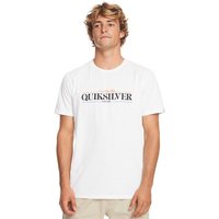 Quiksilver T-Shirt Gradient Line von Quiksilver