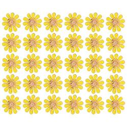 Qukaim Strass-Applikationen, Strass-Applikationen, Sonnenblume, Schmetterling, Haardekoration, Legierung, Zubehör, 1,8 cm, gelbes Gänseblümchen, 30 Stück, mehrfarbig, 60_x_180_cm von Qukaim