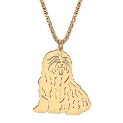 RAIDIN Edelstahl 18K Gold plattiert süßen Hund Hündchen Halskette für Damen Mädchen Tier Welpe Anhänger Schmuck Geschenke für Haustiere Liebhaber (Gold-174 Britischer Border Collie) von RAIDIN