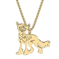RAIDIN Edelstahl 18K Gold plattiert süßen Hund Hündchen Halskette für Damen Mädchen Tier Welpe Anhänger Schmuck Geschenke für Haustiere Liebhaber (Gold-178 Chinesischer Schopfhund) von RAIDIN