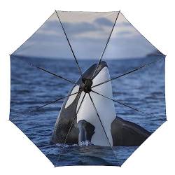 RBAZYFXUJ Regenschirm, Killerwale, Orca-Auto-Regenschirm, automatisches Öffnen, 3-fach faltbarer Regenschirm für Damen und Herren, Killer Whales Orca, Einheitsgröße von RBAZYFXUJ