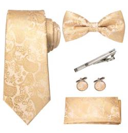 RBOCOTT Champagner Paisley Krawatte und Fliege Einstecktuch mit Krawattenklammer und Manschettenknöpfe Sets(5) von RBOCOTT
