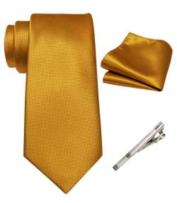 RBOCOTT Gold Krawatte Seidenkrawatte und Einstecktuch mit Krawattenklammer Sets für Männer 8cm(7) von RBOCOTT