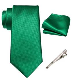 RBOCOTT Grün Krawatte Seidenkrawatte und Einstecktuch mit Krawattenklammer Sets für Männer 8cm(10) von RBOCOTT