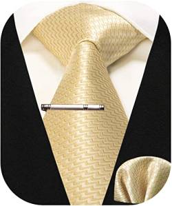 RBOCOTT Herren Champagner Gold Krawatte Seidenkrawatte und Einstecktuch mit Krawattenklammer Sets für Männer(51-1) von RBOCOTT