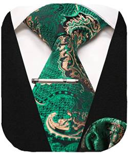RBOCOTT Herren Grün Paisley Krawatte Hochzeit Seidenkrawatte und Einstecktuch mit Krawattenklammer Sets für Männer(246) von RBOCOTT