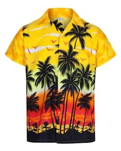 Hawaii Hemd Männer – Freizeithemden für Herren – Hawaiihemd, Dart Shirt – bequemes, leichtes Kurzarmhemd – Faschingskostüme Männer – Bad Taste Outfit Herren – Ballermann 90er Jahre Outfit Sommerhemd von REDSTAR