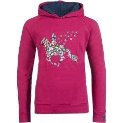 RL24 - Mädchen Hoodie Butterfly von HKM | Kapuzenpullover für Mädchen in Cranberry | Mädchen Sweatshirt mit Kapuze & Buntem Print | Größe 104/110 von RL24