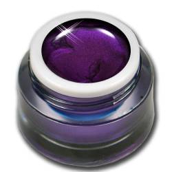 5ml Glossy Farbgel Fantasy Lila Violett ohne Schwitzschicht Premium Colorgel RM Beautynails von RM Beautynails
