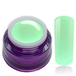 Farbgel Cotton Mint Pastell Grün Hellgrün Uv Led Nagelgel Studio Qualität Color Gel RM Beautynails 1er Pack (1x 5ml) von RM Beautynails