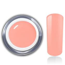 Farbgel Peach Orange Apricot Uv Led Nagelgel Color UV-Gel RM Beautynails 1er Pack (1x 5ml) von RM Beautynails