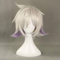 RONGYEDE Anime cosplay perücke Karneval Nai Cosplay Wigs Short Straight White And Purple Gradient Heat Resistant Synthetic Hair Wig Perucas For Man Boys Kuks1519 von RONGYEDE