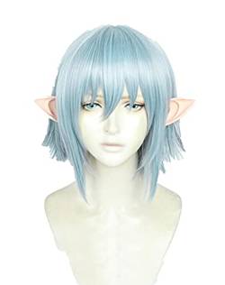 RONGYEDE Spiel Final Fantasy. FF14. Haurchefant Greystone Cosplay Perücke mit Ohren Kurzlicht Blau Hitzebeständige Haarperücken + Perücke Kappe von RONGYEDE