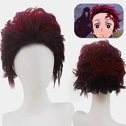 RONGYEDE Wig Anime Cosplay Anime Perücke New Ghost Friction Blade Ofentür Holzkohle Cosplay Anime Fälschung von RONGYEDE