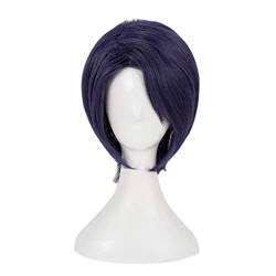 RONGYEDE-Wig Anime Cosplay Anime-Perücke Persona 5 Cosplay Yusuke Kitagawa-Perücke Kurze gerade Perücke Kostüm-Halloween-Perücke for Halloween Kostümparty Anime-Show Cosplay-Event Konzerte von RONGYEDE